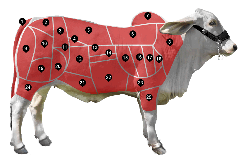 Diagrana de carne en cortes, Colombian Cattle SAS